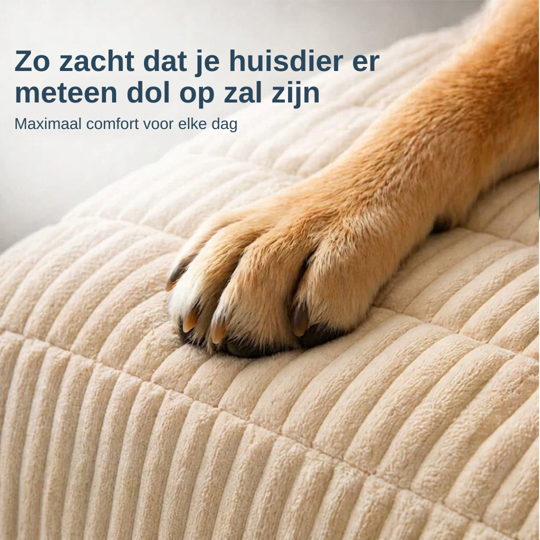 Brittany Sofaschutz — wasserabweisende Decke für Hunde und Katzen
