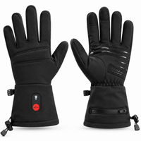 Beheizbare Winterhandschuhe mit USB-Heizung und Touchscreen-Funktion, winddicht für Fahrrad und Arbeit