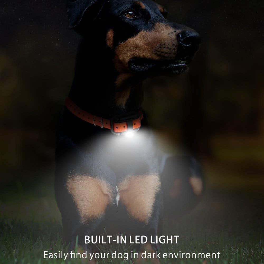 Elektrisches Hundetrainingshalsband – 800 m Reichweite