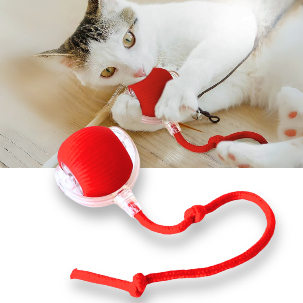 Interaktiver Katzenspielball mit Bewegungssensoren und drei Geschwindigkeitsstufen