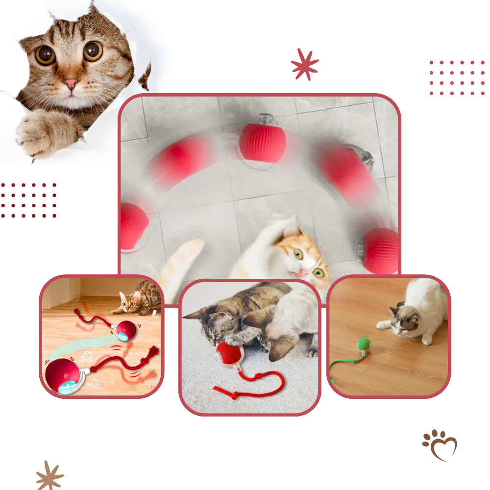 Interaktiver Katzenspielball mit Bewegungssensoren und drei Geschwindigkeitsstufen