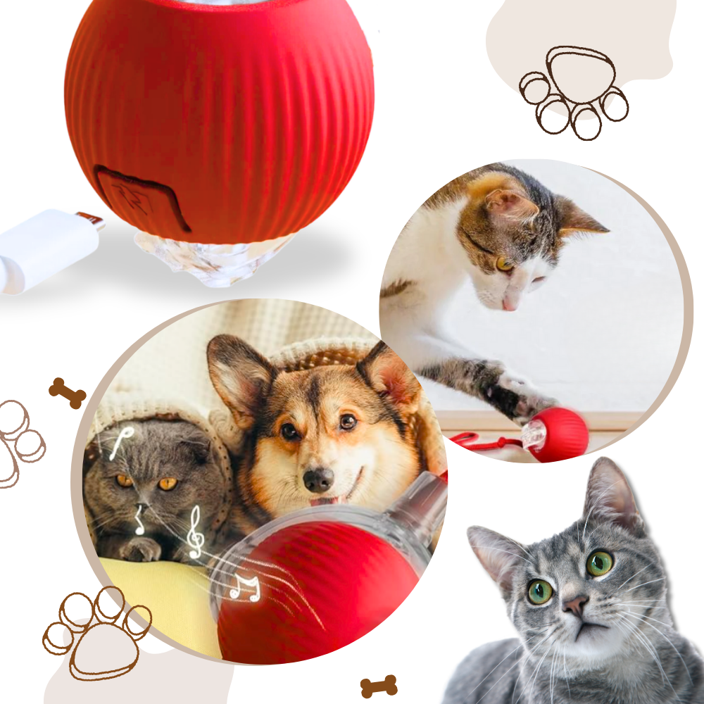 Interaktiver Katzenspielball mit Bewegungssensoren und drei Geschwindigkeitsstufen