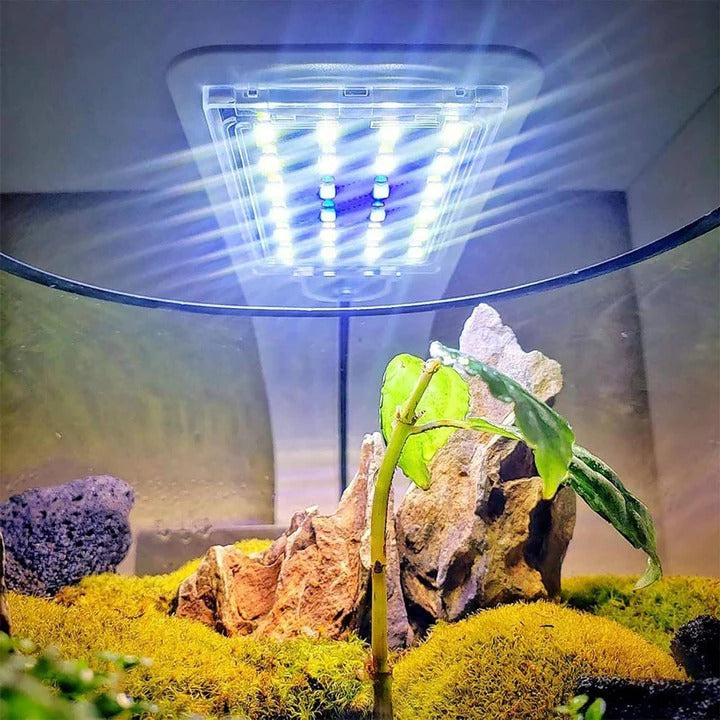 Schlanke LED-Leuchte für Wasserpflanzen und Aquarien