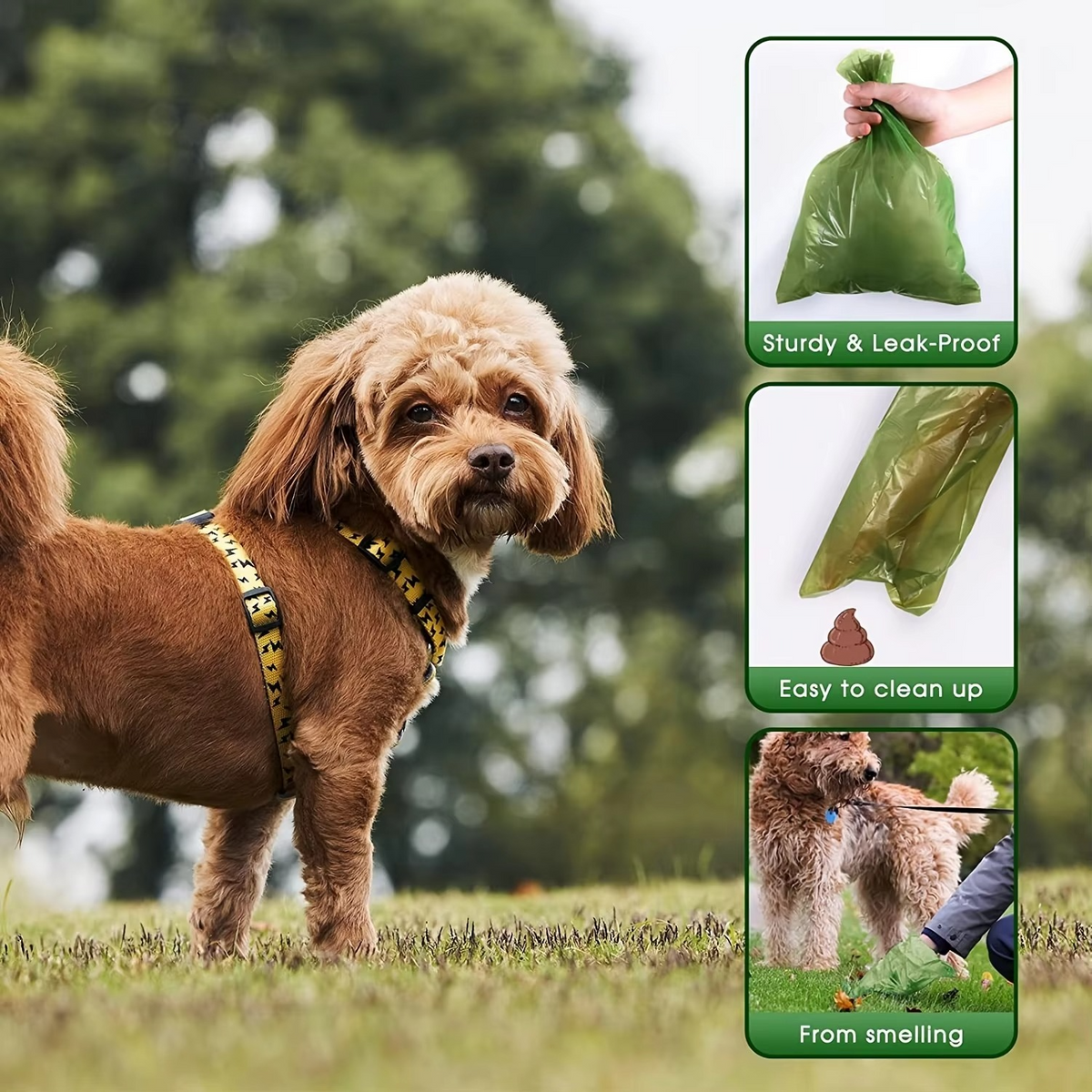 Umweltfreundliche, biologisch abbaubare und auslaufsichere Hundekotbeutel mit Spender