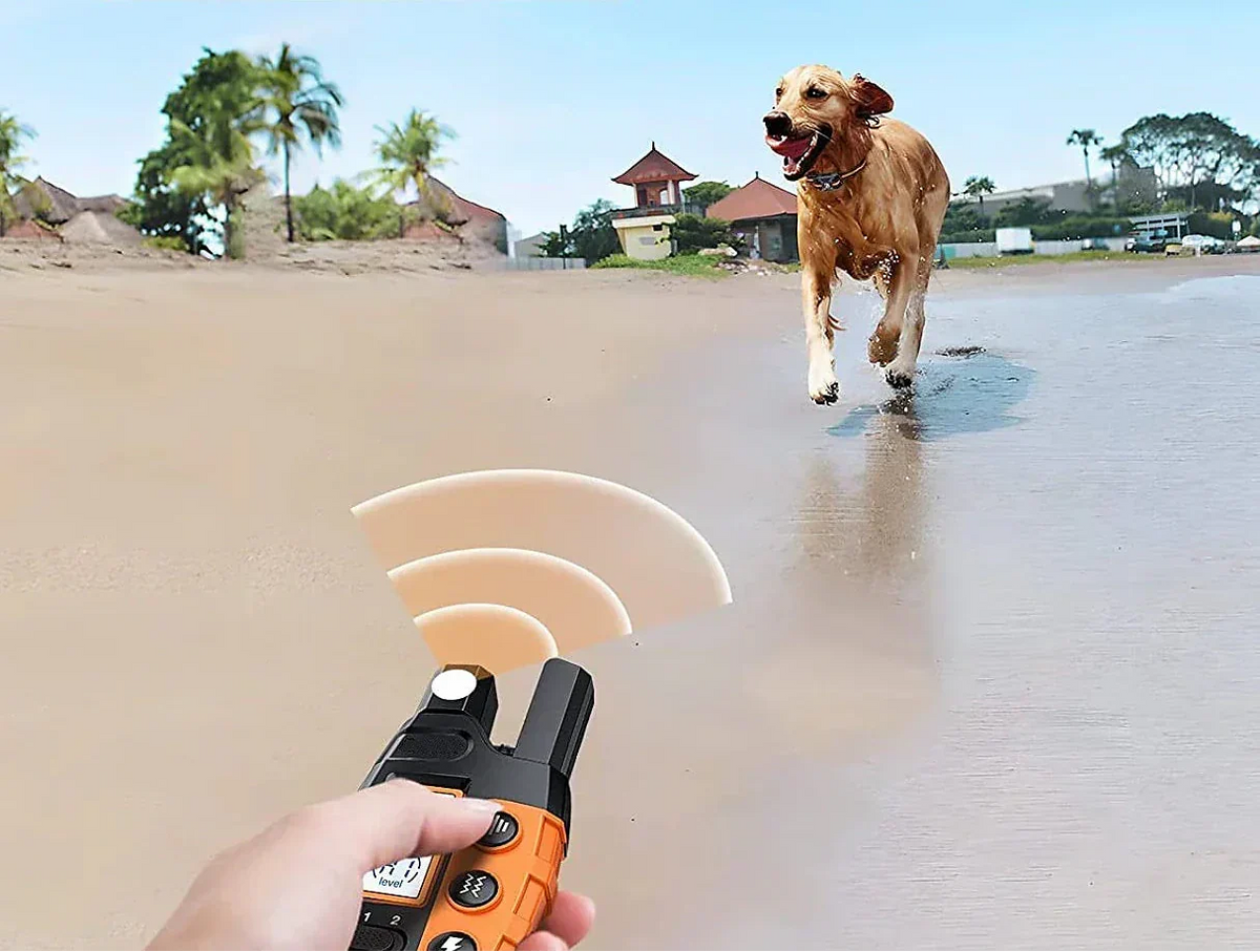 Wasserdichtes Hunde-Trainingshalsband mit Fernbedienung, 1000 m
