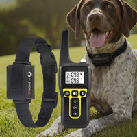 Wasserdichtes Hundetrainingshalsband mit 1000 m Reichweite – wiederaufladbar, mit Fernbedienung & verstellbar für kleine, mittelgroße und große Hunde