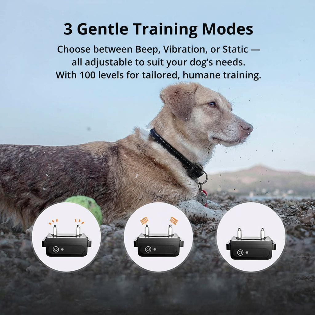 Wasserdichtes Hundetrainingshalsband mit 1000 m Reichweite – wiederaufladbar, mit Fernbedienung & verstellbar für kleine, mittelgroße und große Hunde