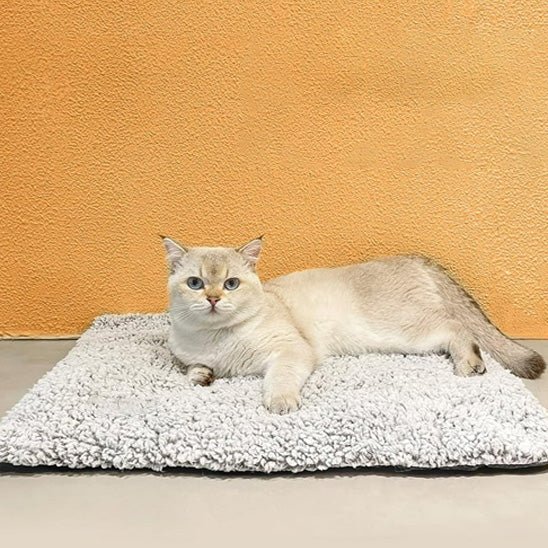 Weiches Katzen-Heizkissen